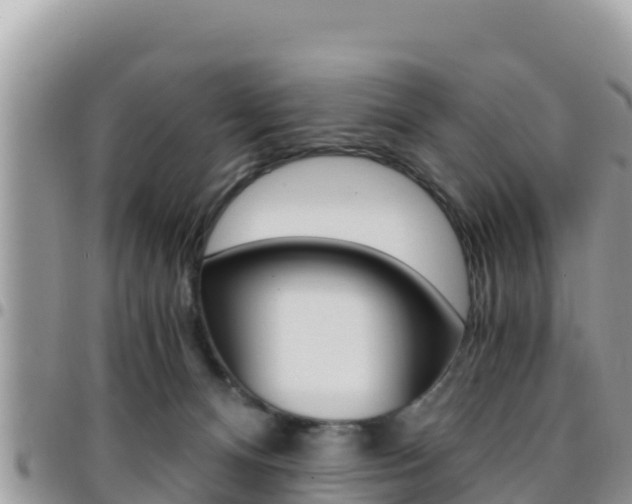 X0000096200128200801181040