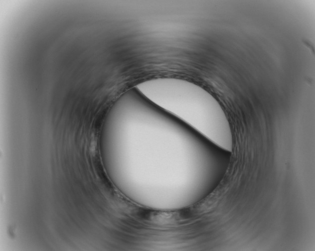 X0000096200129200801181040