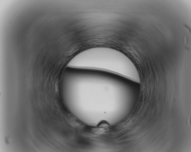 X0000096200131200801181040