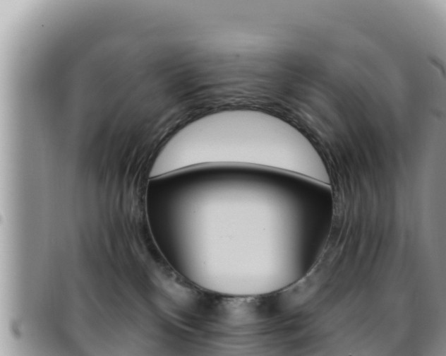 X0000096200136200801181039