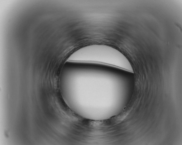 X0000096200139200801181039