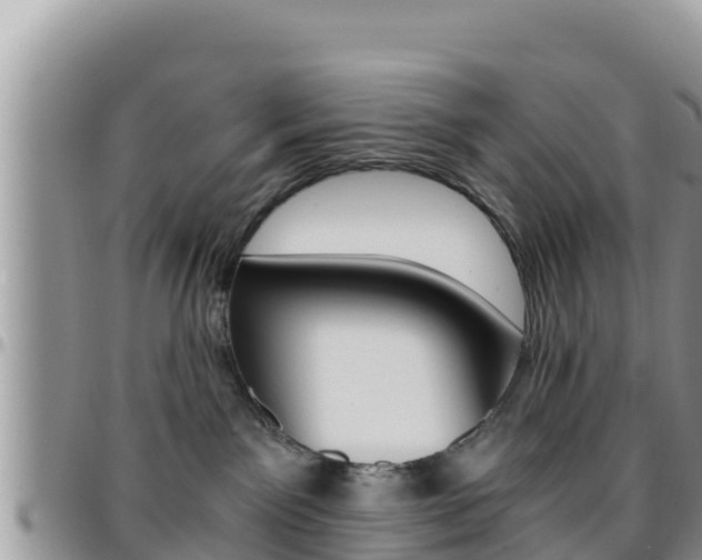 X0000096200141200801181039