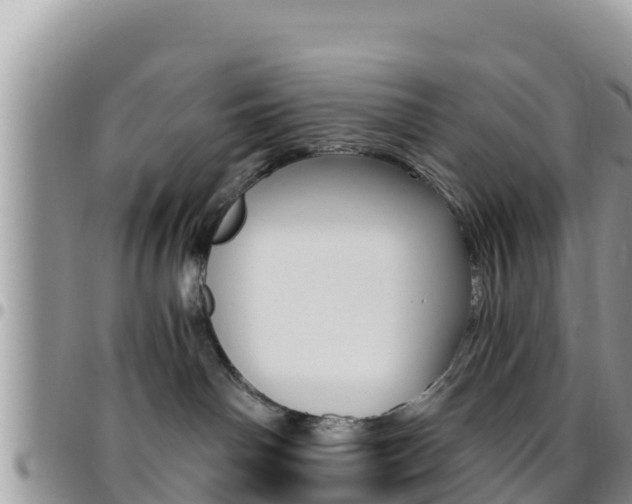 X0000096200142200801181039