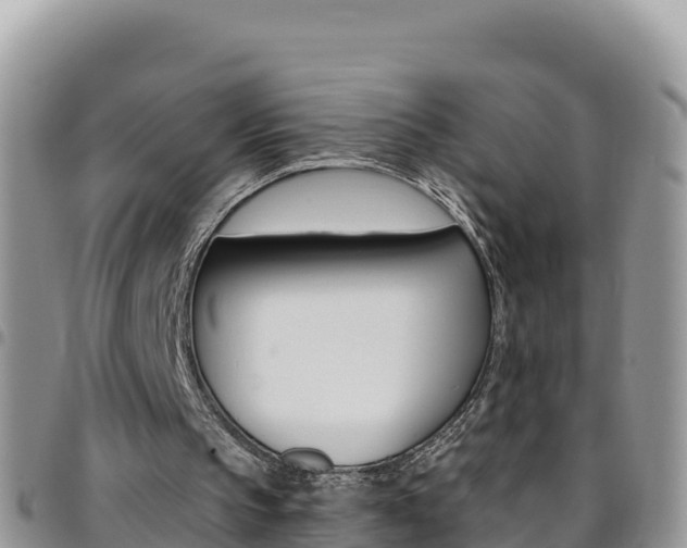 X0000096200145200801181039