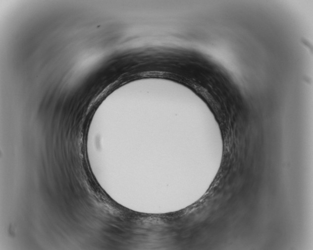 X0000096200146200801181039