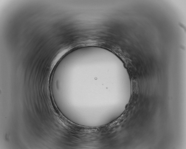 X0000096200147200801181039