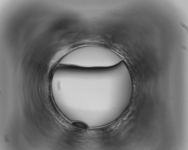 X0000096200149200801181039