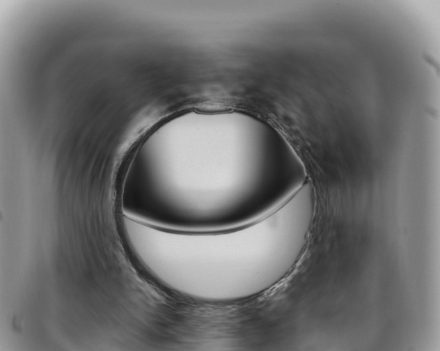 X0000096200150200801181039