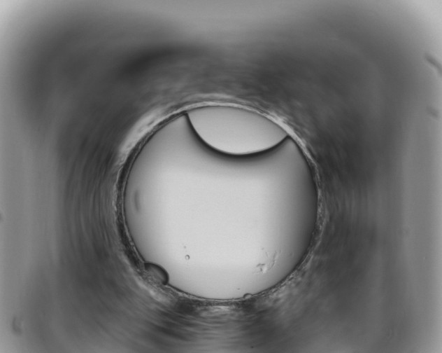 X0000096200151200801181039