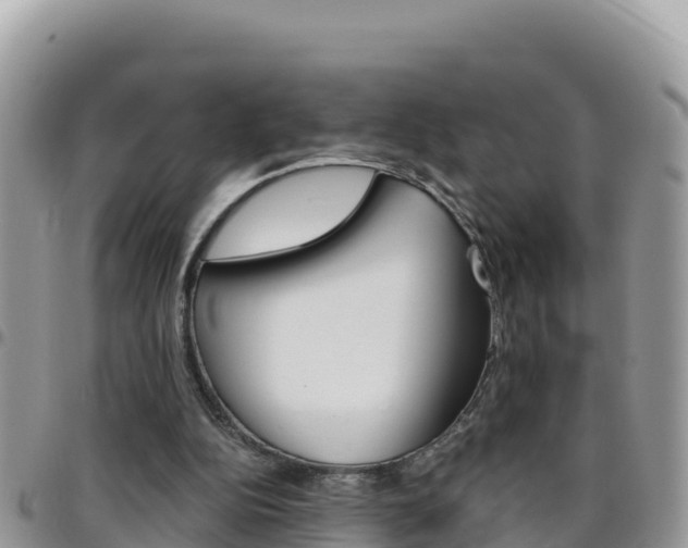 X0000096200152200801181039