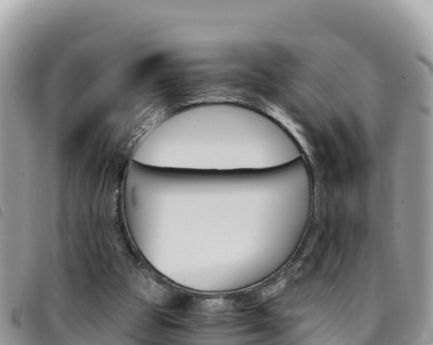 X0000096200153200801181039