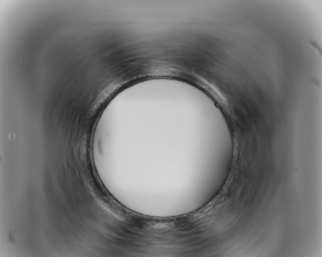 X0000096200155200801181039