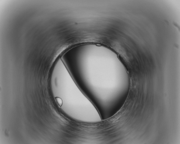 X0000096200156200801181039