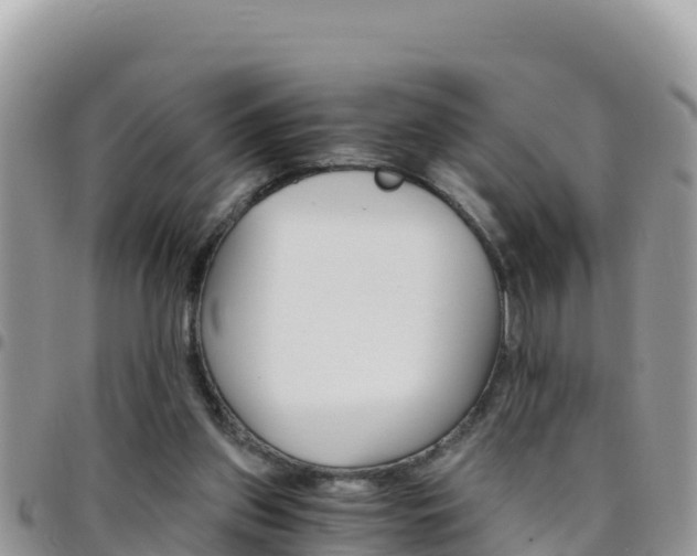 X0000096200157200801181039