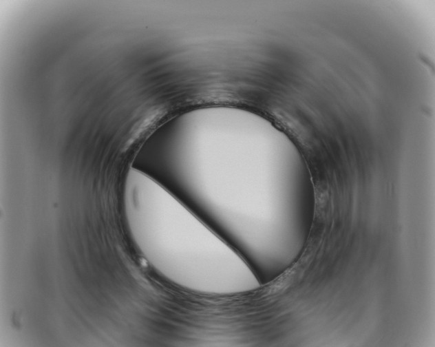 X0000096200158200801181039