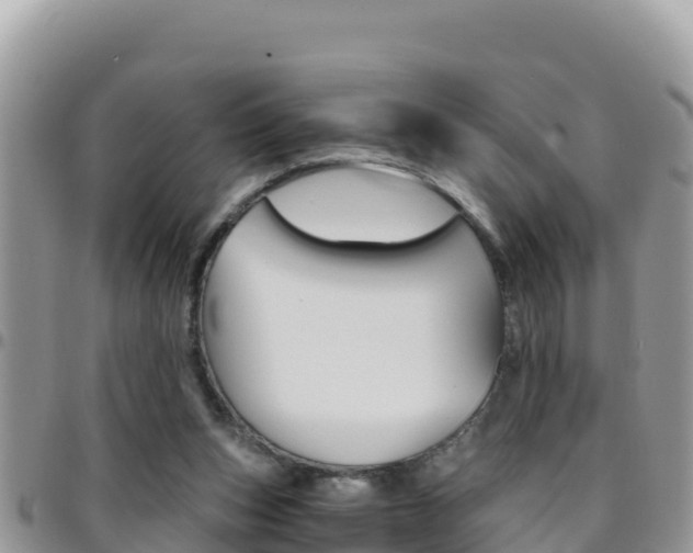 X0000096200159200801181039