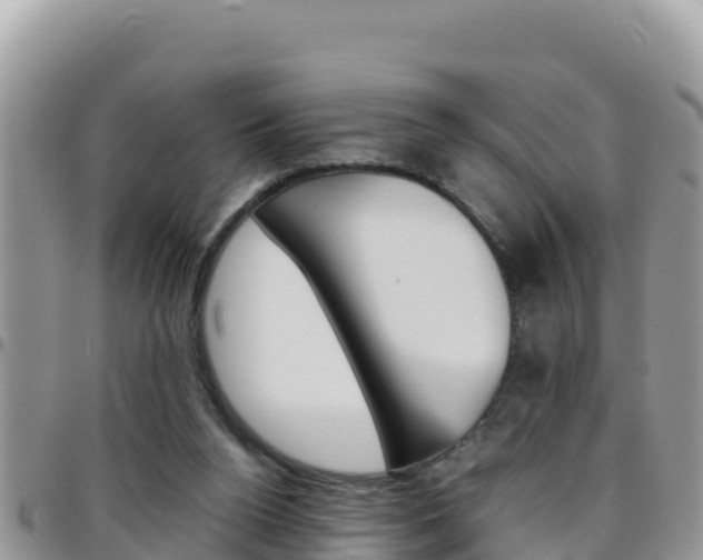 X0000096200160200801181039