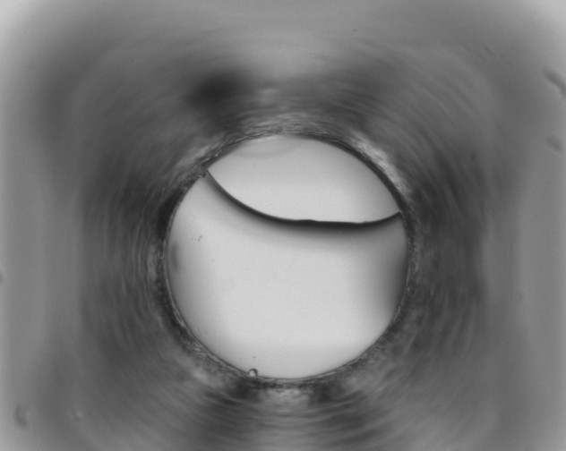 X0000096200161200801181039