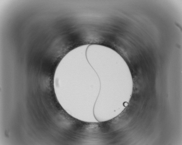 X0000096200162200801181039
