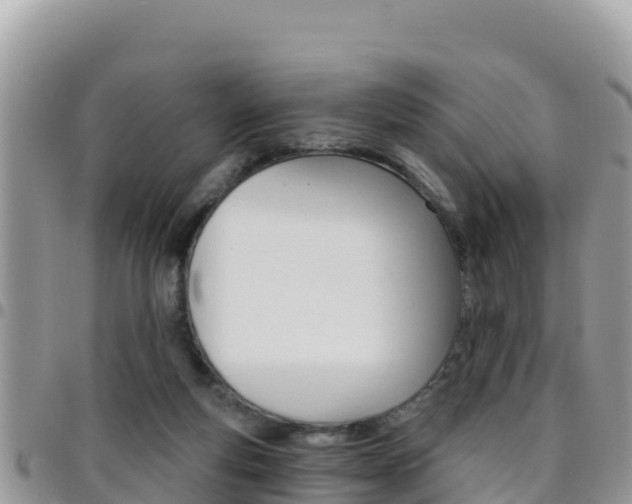 X0000096200163200801181039