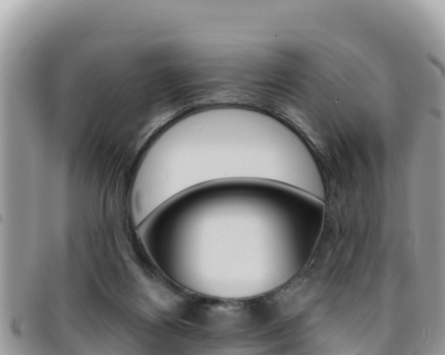 X0000096200164200801181039