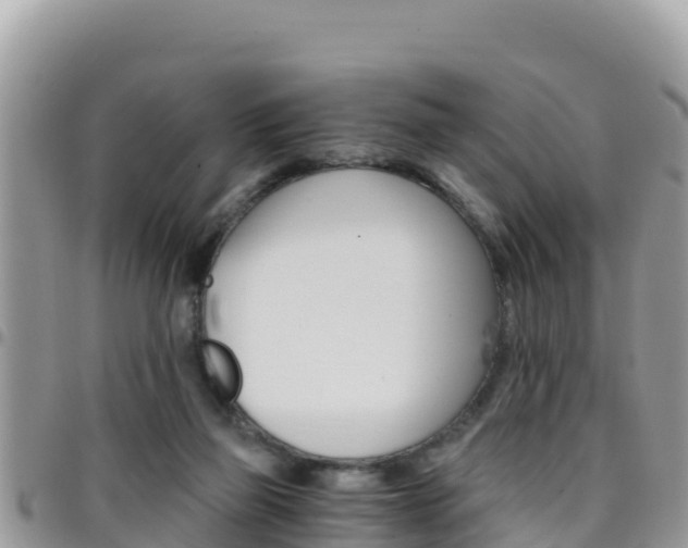 X0000096200165200801181039