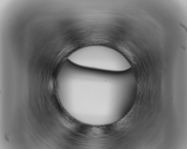 X0000096200166200801181039