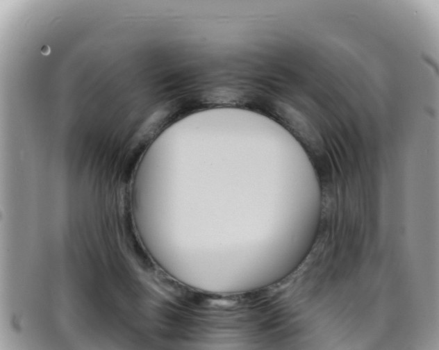 X0000096200167200801181039
