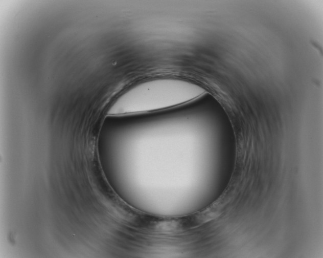 X0000096200168200801181039