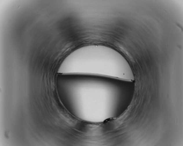 X0000096200170200801181039