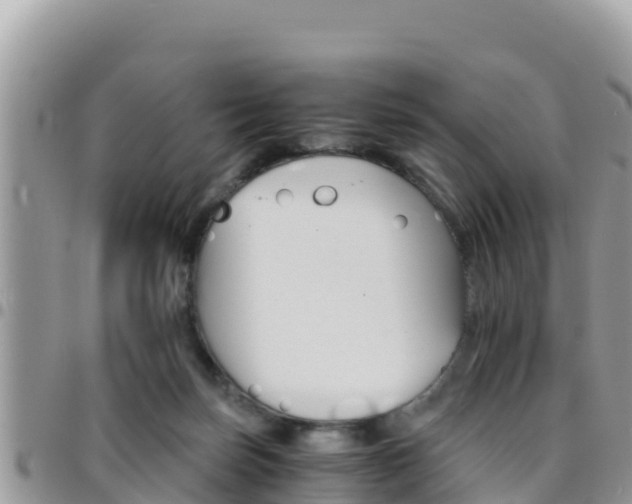 X0000096200171200801181039