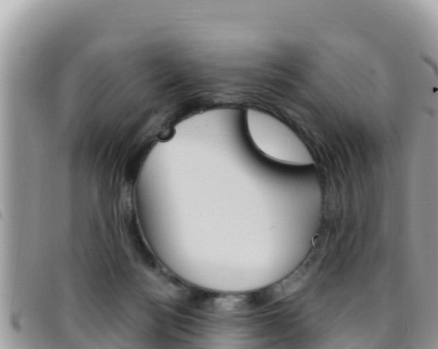 X0000096200172200801181039