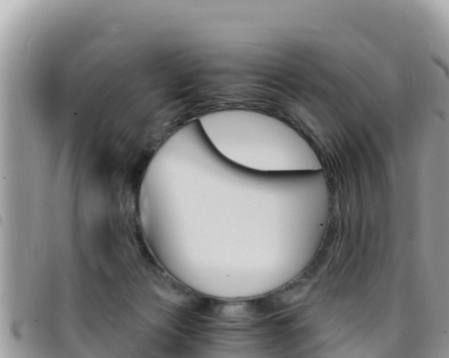 X0000096200173200801181039