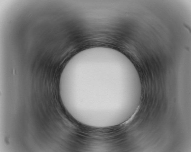 X0000096200174200801181039