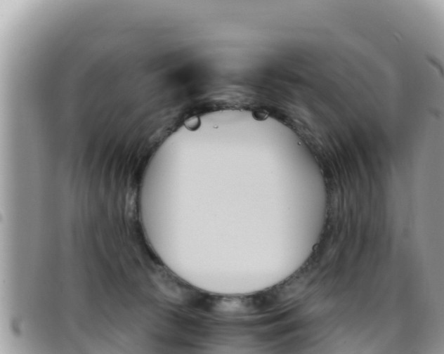 X0000096200177200801181039