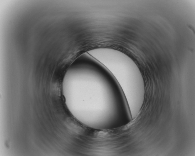 X0000096200180200801181039
