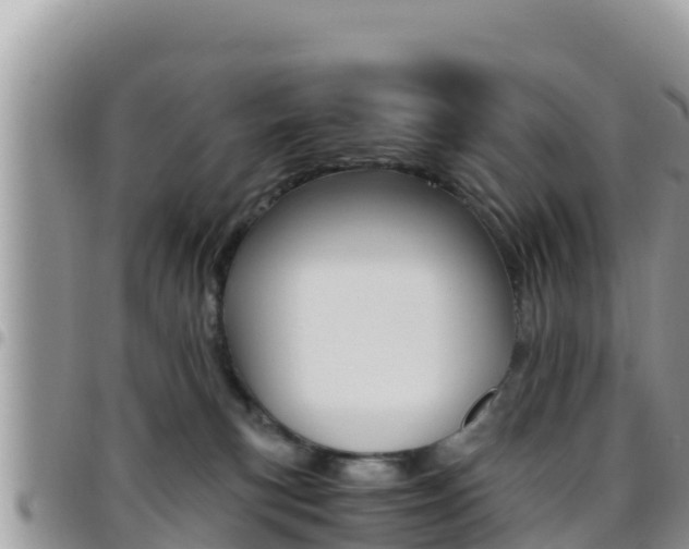 X0000096200183200801181039