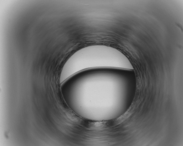 X0000096200184200801181039