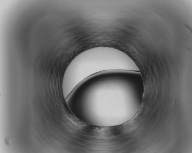 X0000096200186200801181039
