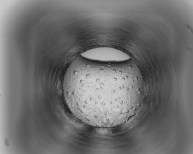 X0000096200187200801181039