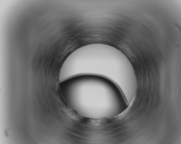 X0000096200190200801181039
