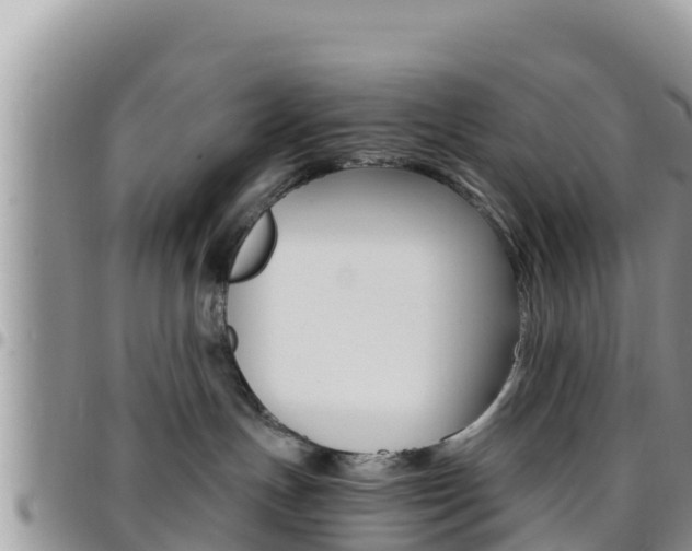 X0000096200191200801181039