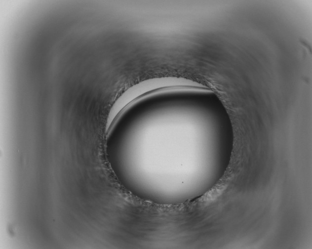 X0000096200192200801181039
