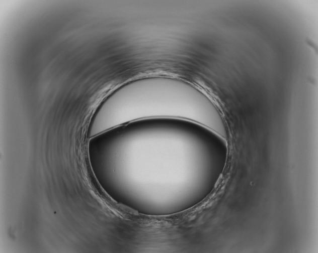 X0000096200193200801181039