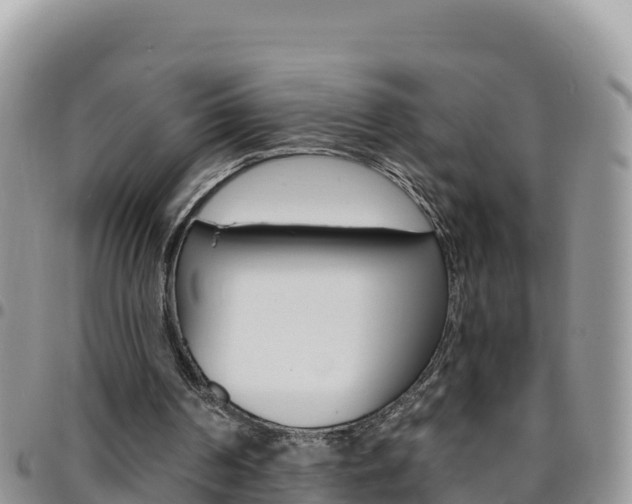 X0000096200194200801181039