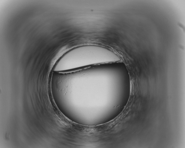 X0000096200195200801181039