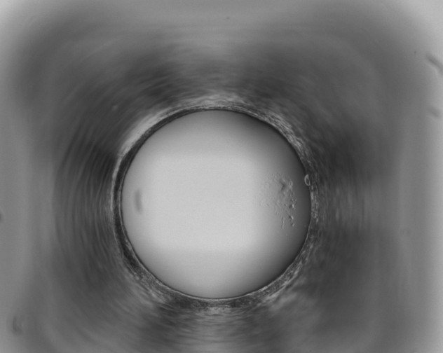 X0000096200196200801181039
