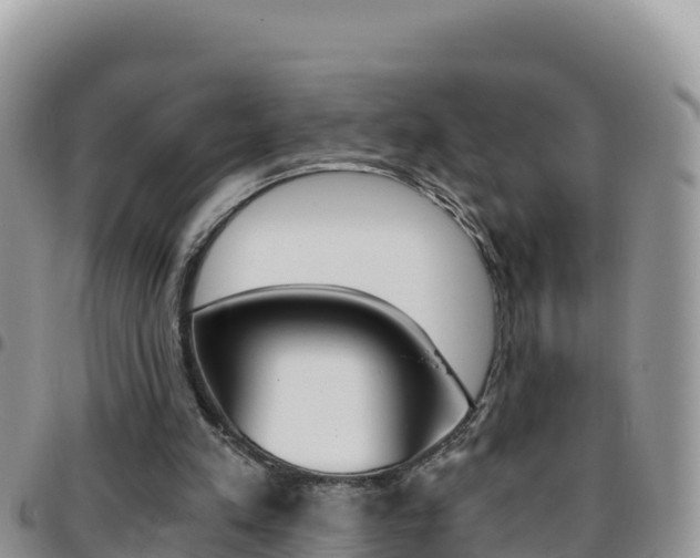 X0000096200197200801181039