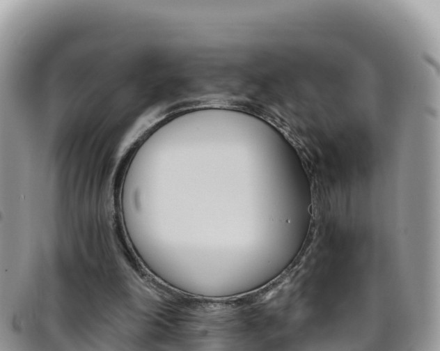 X0000096200198200801181039