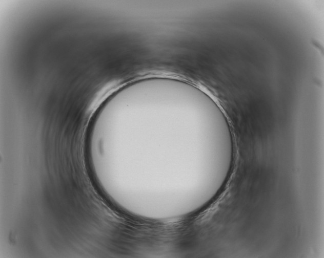 X0000096200199200801181039